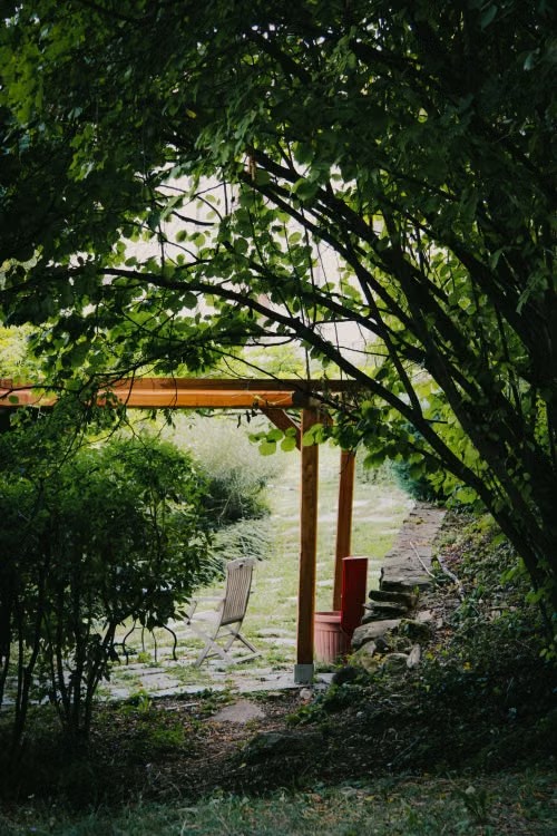 Pergola de jardin entourée d’arbres et de végétation